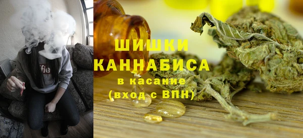 PSILOCYBIN Верхний Тагил